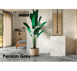 Forte dei Marmi Persian Grey 60*120