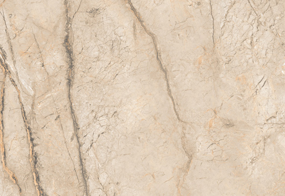 Wild Forest Beige Matt 60x120 Wild Forest Beige Matt 60x120