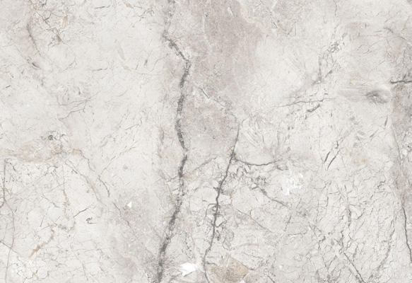 Wild Forest Grey Matt 60x120 Wild Forest Grey Matt 60x120