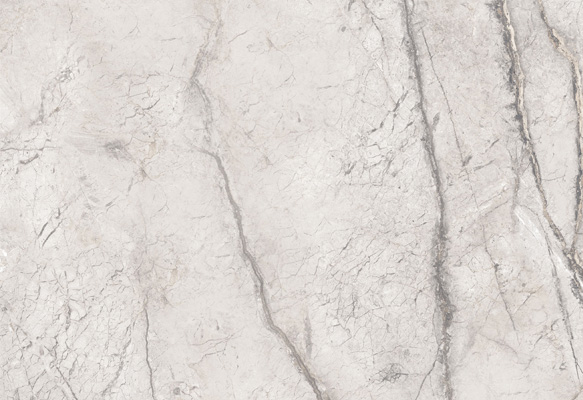 Wild Forest Grey Matt 60x120 Wild Forest Grey Matt 60x120