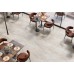 Astona Silver 60*120