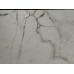 PERLATO SICILIA glue